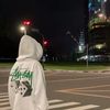 the_van1shh