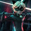 catnoir71928