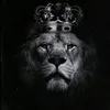 sher4k4m1