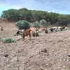 enrique._0655