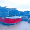 cocoseg1