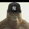 king.kong.shl0ng
