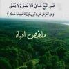 user8453934583005