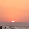 incredible_w