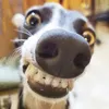 wojtkowsia