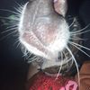 itsyourgirll100