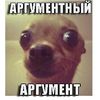 ykartoshka1