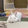 koji.yamada831