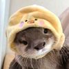 ducky.otter