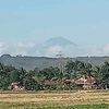 ilmuwan303