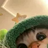 lalinhlinz