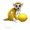 lemurlemon