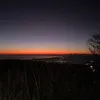 neota_06