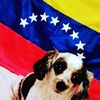 soycesarbarreto