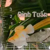 thaotien240422