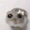 daisyaesy