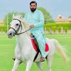 its_dogar_sb