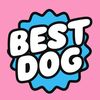 bestdogtrainingacademy