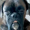 iosoio74