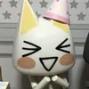 inu._.pi