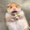tikdattok0