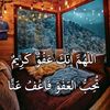 anis_h19
