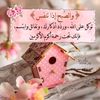 jorifaisal635