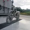 goldendicker