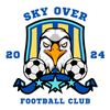 skyover_7