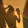 dendul_eee