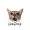 Shwangky Cats