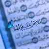 muthana040