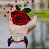 norah505alqhtani