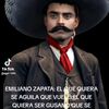 oscargrande01