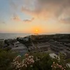 andrew_mccormack19