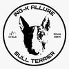 ingk.allure.bull.terrier