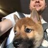 sourfox84