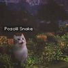posolilsnake