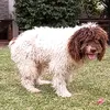 kimofthejungle074