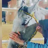 Eman_h