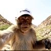 👨‍💻أبوصالح عالم التكنولوجيا