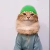 skrizye