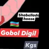 qowmiyada_digil