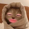 iya_spamz