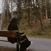 nurk_0606