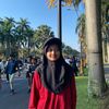 si_apinn