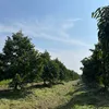 reviewmoithu100