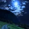 music2903