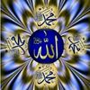 qamarhassan248