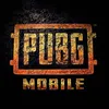 _.pubg._miko